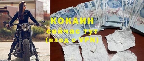 трава Новозыбков