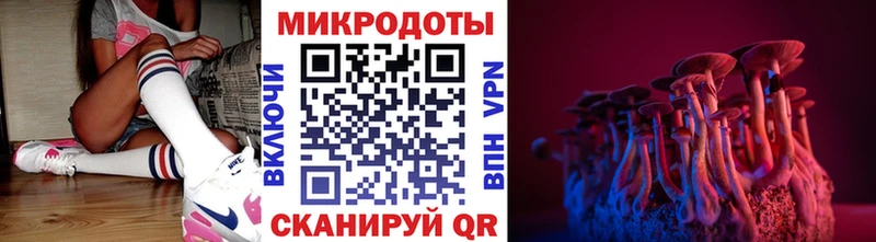 гидра онион  что такое наркотик  Серов  Галлюциногенные грибы GOLDEN TEACHER 
